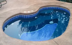 Kidney Spa